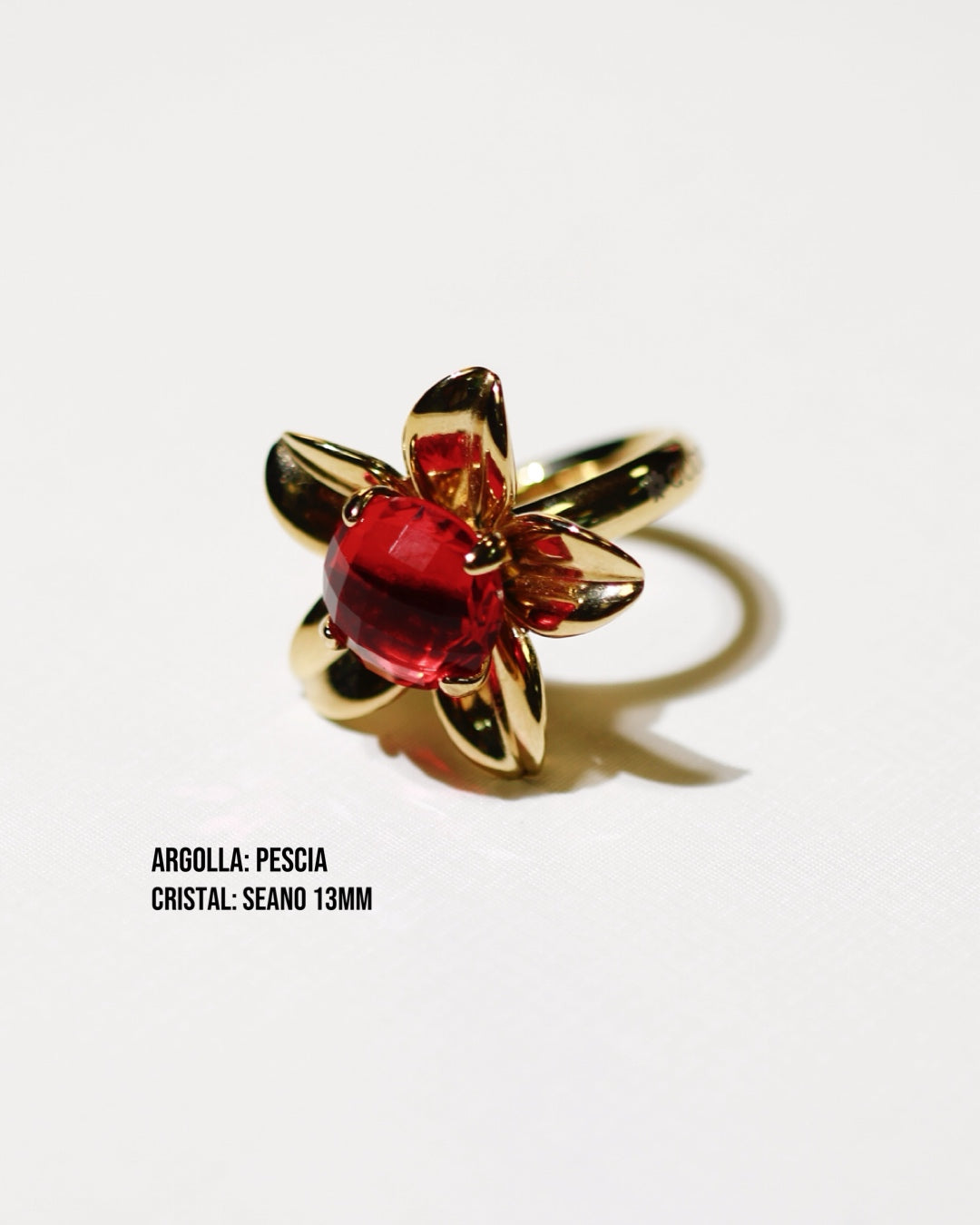 New ! Argolla PESCIA Dorada